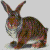 Avatar du membre